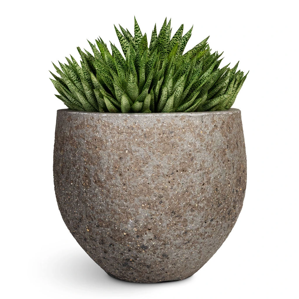 Mini Orb Cement & Stone Plant Pot - Granite Grey 4 Mini Orb Cement & Stone Plant Pot - Granite Grey - Image 2