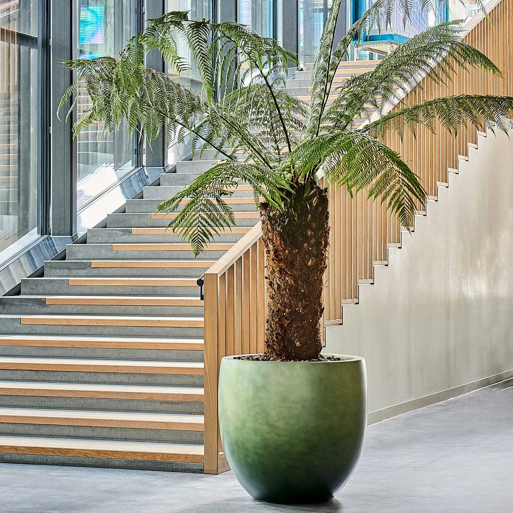 Gradient Balloon Planter - Matt Forest 4 Gradient Balloon Planter - Matt Forest - Image 2