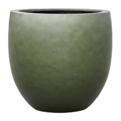 Gradient Balloon Planter - Matt Forest 11 Gradient Balloon Planter - Matt Forest -Plant Promotion Store Gradient Balloon Planter Matt Forest 70x68cm