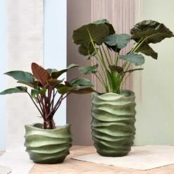 Gradient Lee Couple Planter - Matt Forest -Plant Promotion Store Gradient Lee Couple Planters Matt Forest 1 e67c3ba1 1eaa 4792 8aea 0ed7b24fe67c