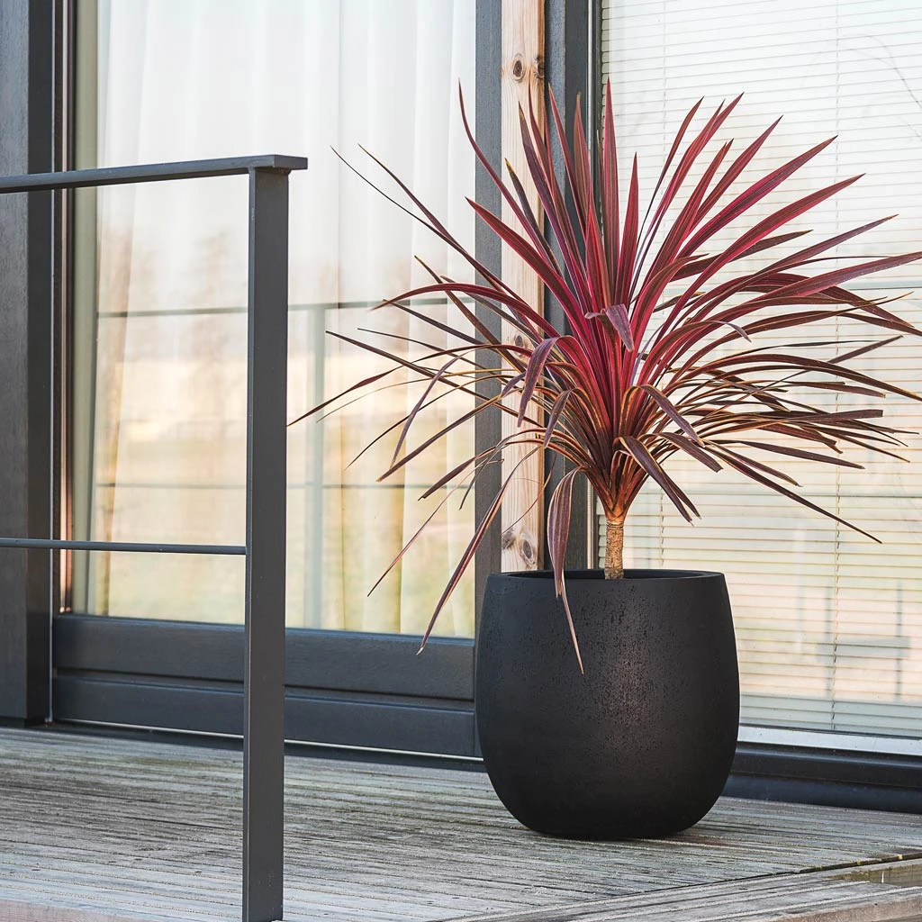 Grigio Balloon Plant Pot - Anthracite Concrete 4 Grigio Balloon Plant Pot - Anthracite Concrete - Image 2