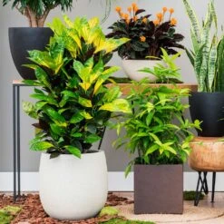 Grigio Balloon Plant Pot - Antique White Concrete 18 Grigio Balloon Plant Pot - Antique White Concrete -Plant Promotion Store Grigio Balloon Antique White Concrete