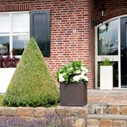 Grigio Cube Planter - Rusty Iron Concrete -Plant Promotion Store Grigio Cube Planter Rusty Iron Concrete LS1