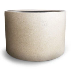 Grigio Cylinder Planter - Antique White Concrete 14 Grigio Cylinder Planter - Antique White Concrete -Plant Promotion Store Grigio Cylinder Planter Antique White Concrete 08a9cf77 9256 45e9 ad31 bae730a64d75