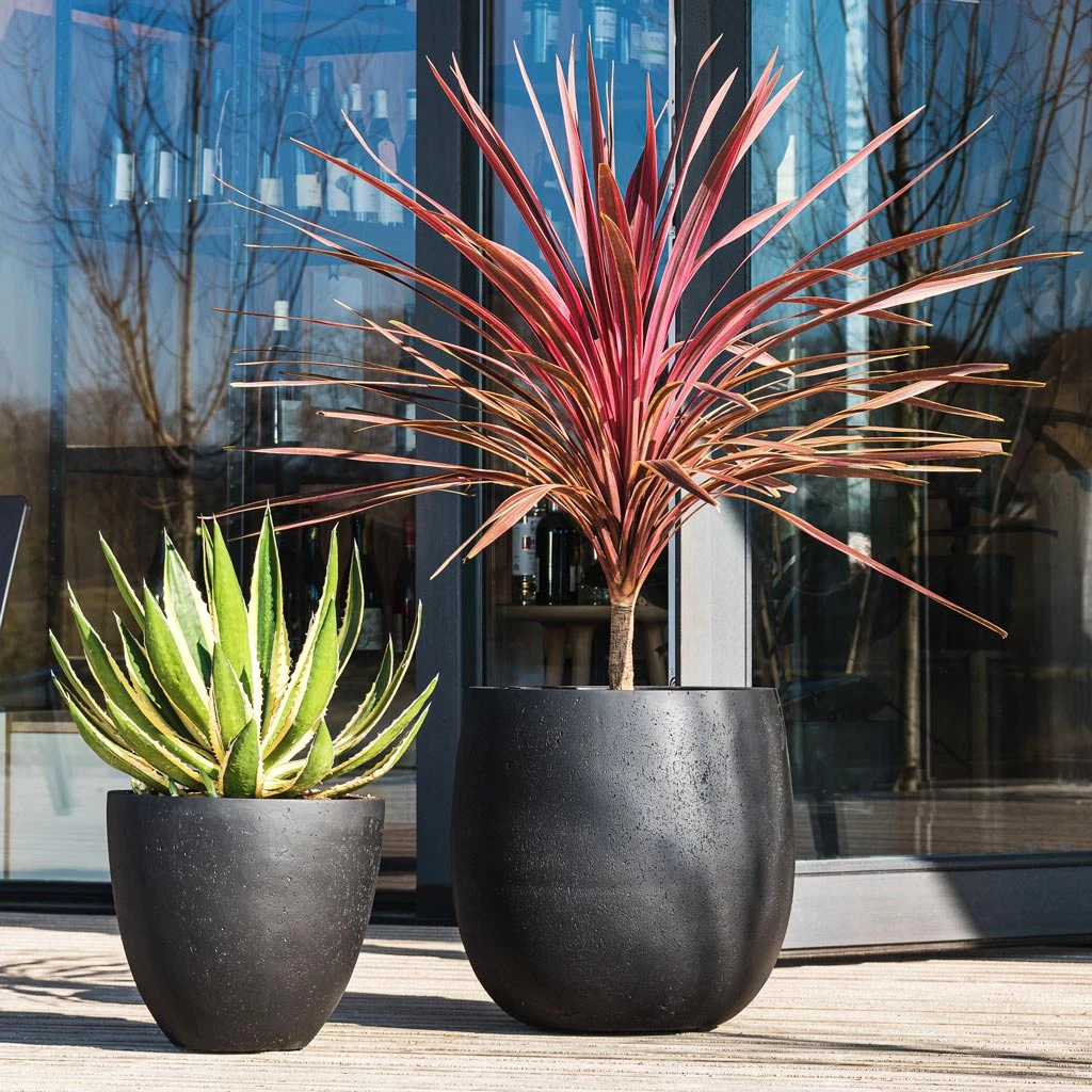 Grigio Egg Pot Planter - Anthracite Concrete 5 Grigio Egg Pot Planter - Anthracite Concrete - Image 3