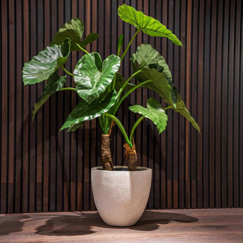 Grigio Egg Pot Planter - Antique White Concrete 8 Grigio Egg Pot Planter - Antique White Concrete - Image 6