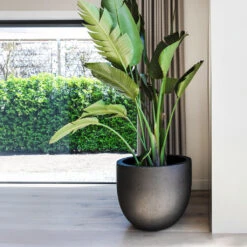 Grigio New Egg Pot Planter - Anthracite Concrete -Plant Promotion Store Grigio New Egg Pot Planter Anthracite