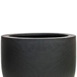 Grigio New Egg Pot Planter - Anthracite Concrete -Plant Promotion Store Grigio New Egg Pot Planter Anthracite Concrete DETAIL 2