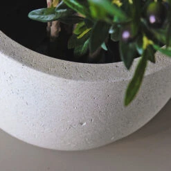 Grigio New Egg Pot Planter - Antique White Concrete 10 Grigio New Egg Pot Planter - Antique White Concrete -Plant Promotion Store Grigio New Egg Pot Planter Antique White Concrete 2