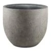 Grigio New Egg Pot Planter - Natural Concrete -Plant Promotion Store Grigio New Egg Pot Planter Natural Concrete 80x66cm