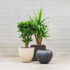 Grigio Egg Pot Planter - Antique White Concrete 15 Grigio Egg Pot Planter - Antique White Concrete -Plant Promotion Store Grigio Planters LS1