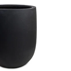 Grigio Tall Egg Pot Planter - Anthracite Concrete 11 Grigio Tall Egg Pot Planter - Anthracite Concrete -Plant Promotion Store Grigio Tall Egg Pot Planter Anthracite Concrete DETAIL 2