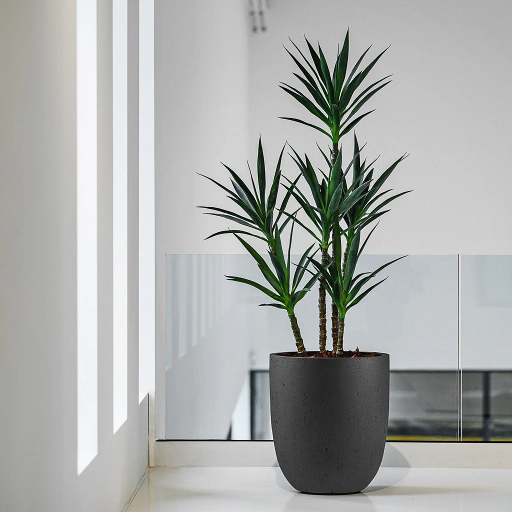 Grigio Tall Egg Pot Planter - Anthracite Concrete 7 Grigio Tall Egg Pot Planter - Anthracite Concrete - Image 5