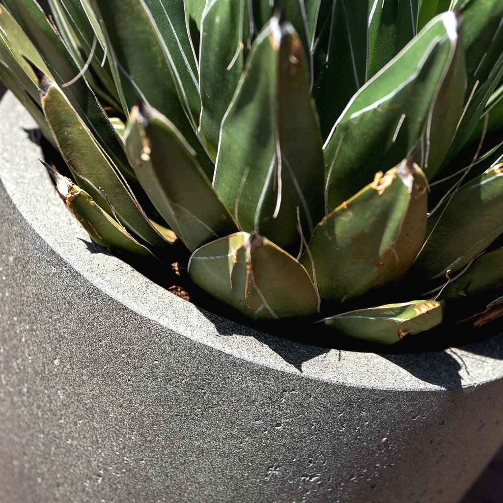 Grigio Tall Egg Pot Planter - Natural Concrete 4 Grigio Tall Egg Pot Planter - Natural Concrete - Image 2