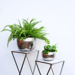 Hammered Bowl - Nickel With Black -Plant Promotion Store Hammered Bowl Silver Lifestyle 2