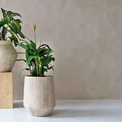 Harith High Mineral Planter - Travertine -Plant Promotion Store Harith Mineral Planter Travertine Lifestyle 2