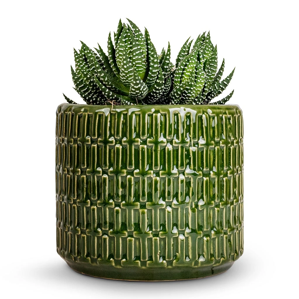 Flor Plant Pot - Green 6 Flor Plant Pot - Green - Image 4