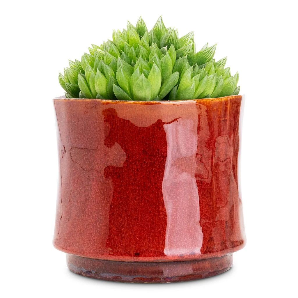 Nolan Plant Pot - Red 8 Nolan Plant Pot - Red - Image 6