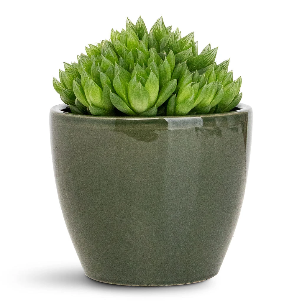 Sven Plant Pot - Sage 10 Sven Plant Pot - Sage - Image 8