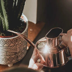 Haws Fazeley Flow Watering Can - One Pint Copper 12 Haws Fazeley Flow Watering Can - One Pint Copper -Plant Promotion Store Haws Fazeley Flow One Pint Copper LS