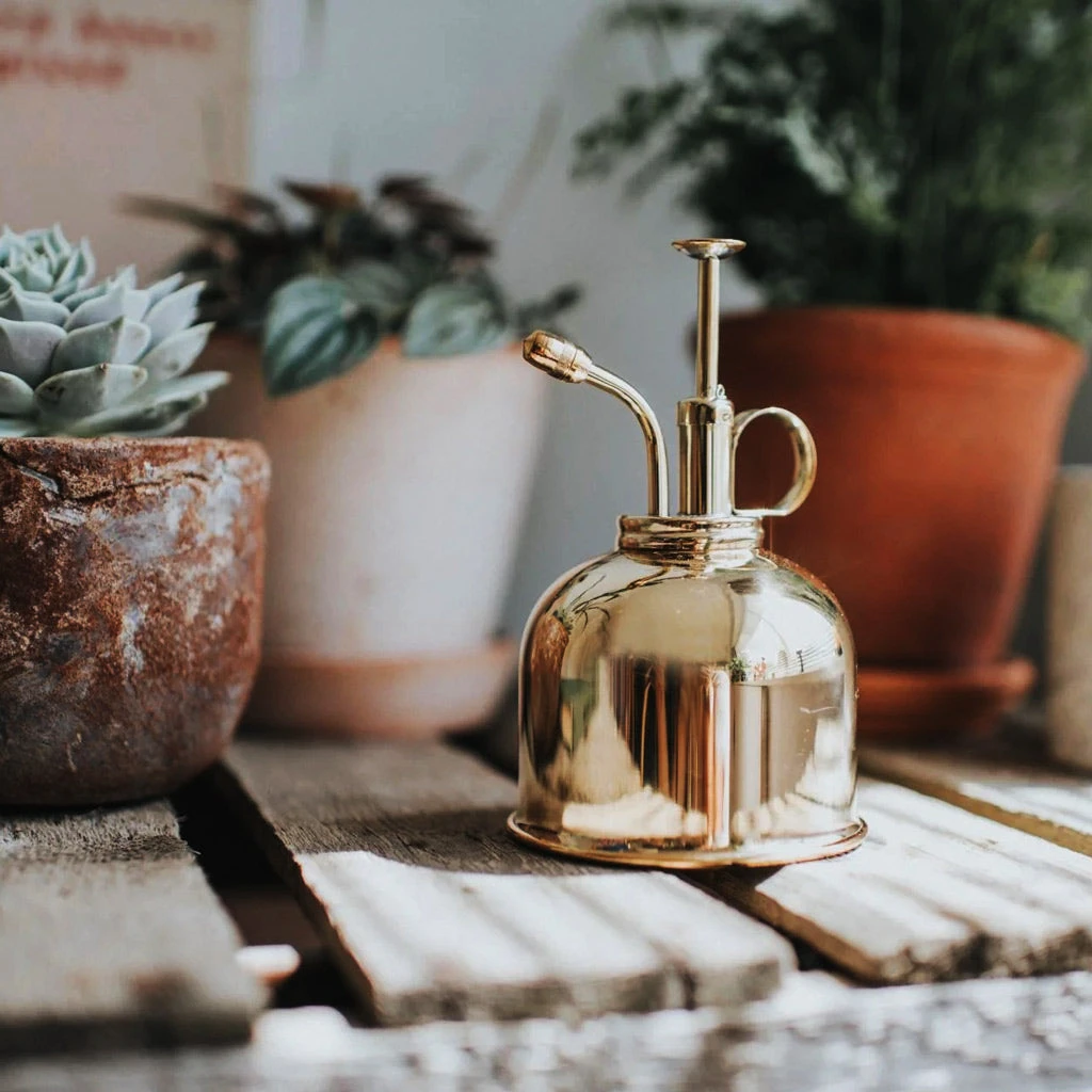 Haws Smethwick Spritzer In Brass 4 Haws Smethwick Spritzer In Brass - Image 2