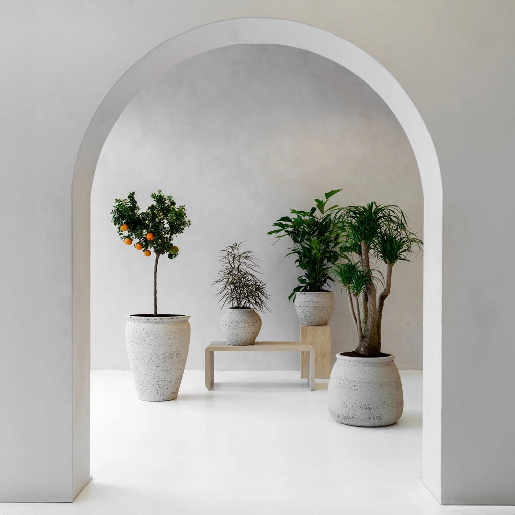 Artemis Mediterranean Planter - Chalk White 5 Artemis Mediterranean Planter - Chalk White - Image 3