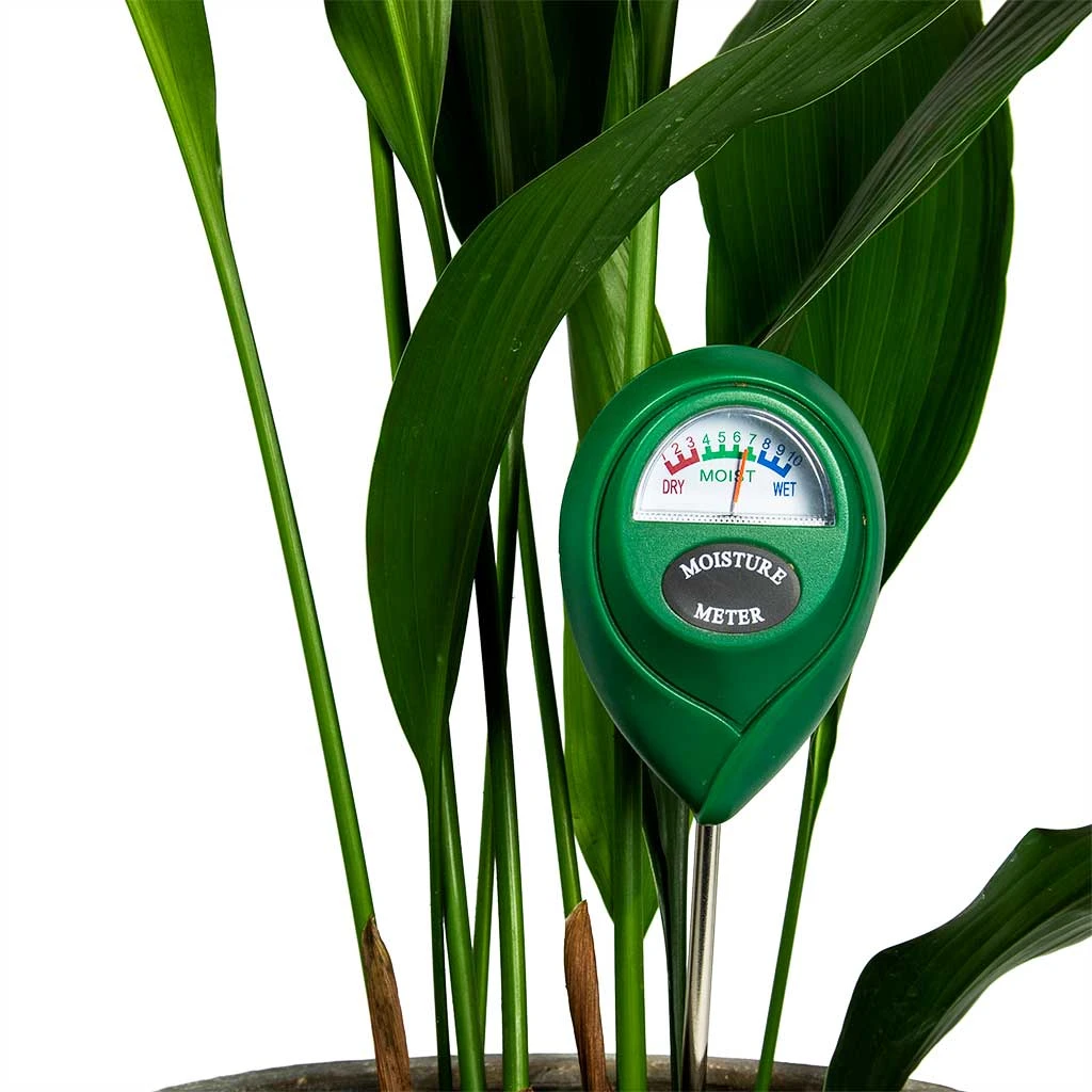 Houseplant Soil Moisture Meter 4 Houseplant Soil Moisture Meter - Image 2