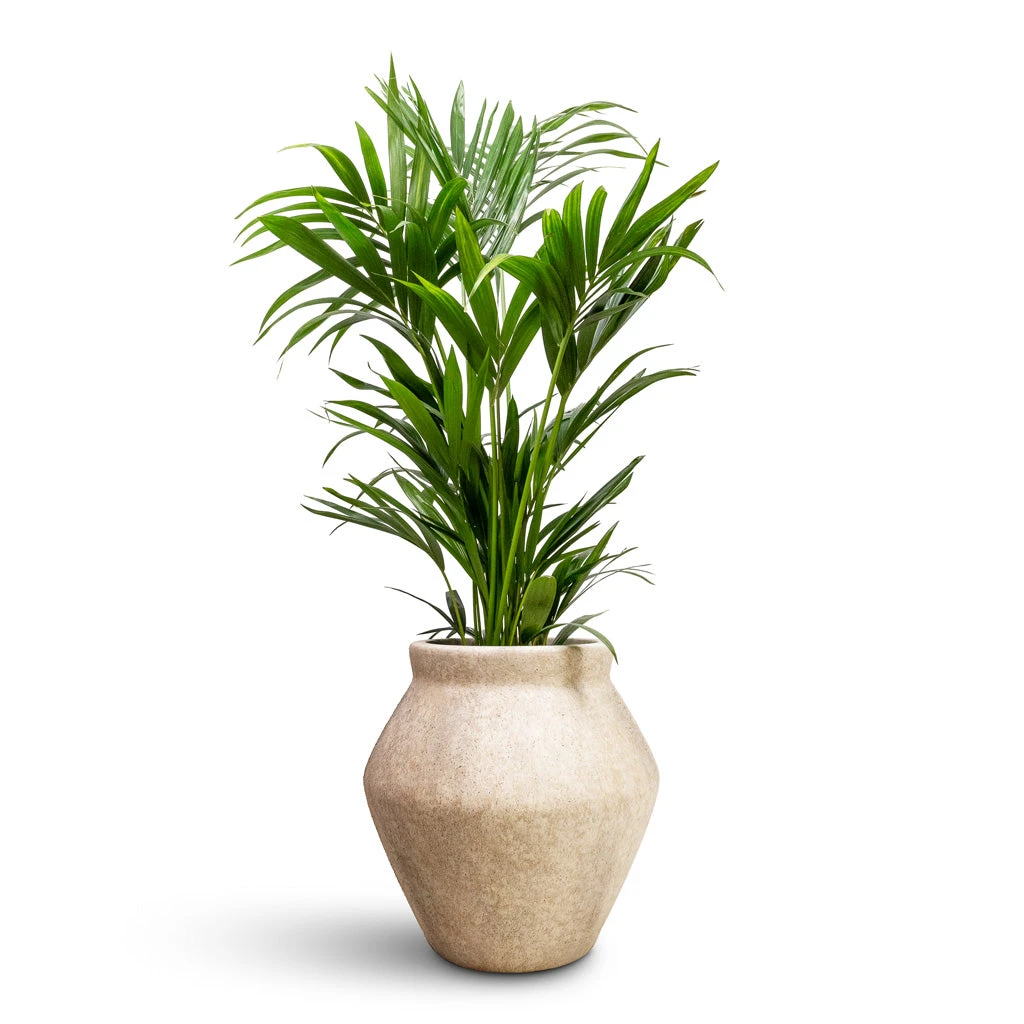 Fleuri Mineral Tall Planter - Travertine 4 Fleuri Mineral Tall Planter - Travertine - Image 2