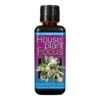 Hydroponic Houseplant Focus - Hydrocare Nutrition