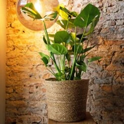 Igmar Plant Basket - Natural -Plant Promotion Store Igmar natural Lifestyle 1