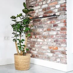 Igmar Plant Basket - Natural -Plant Promotion Store Igmar natural Lifestyle 3