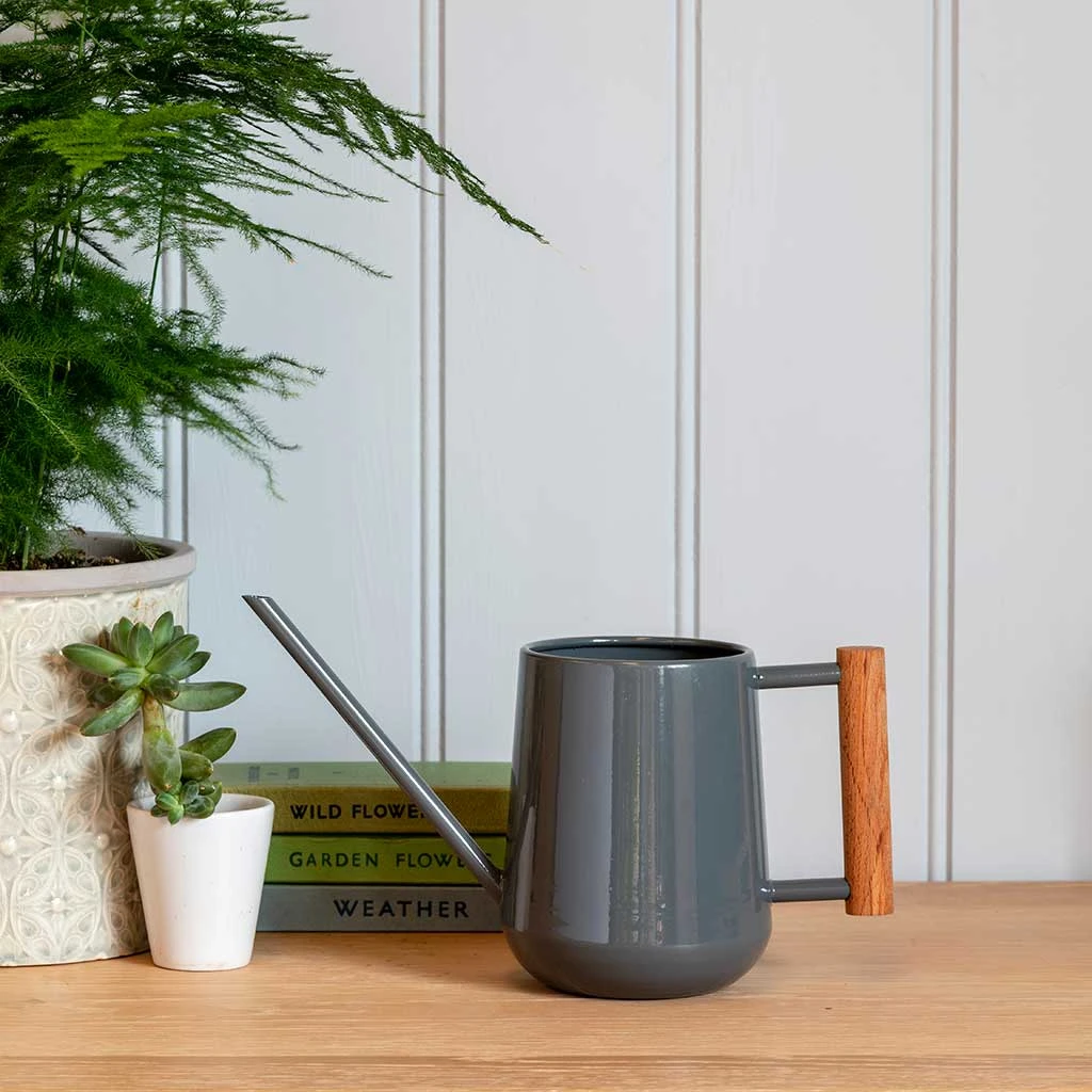 Indoor Watering Can 0.7L - Charcoal With Beech Handle 4 Indoor Watering Can 0.7L - Charcoal With Beech Handle - Image 2