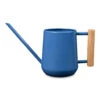 Indoor Watering Can 0.7L - Cotswold Blue With Beech Handle