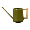 Indoor Watering Can 0.7L - Olive With Beech Handle