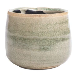 Iris Plant Pot - Mint 23 Iris Plant Pot - Mint -Plant Promotion Store Iris Plant Pot Mint 8x7cm 2