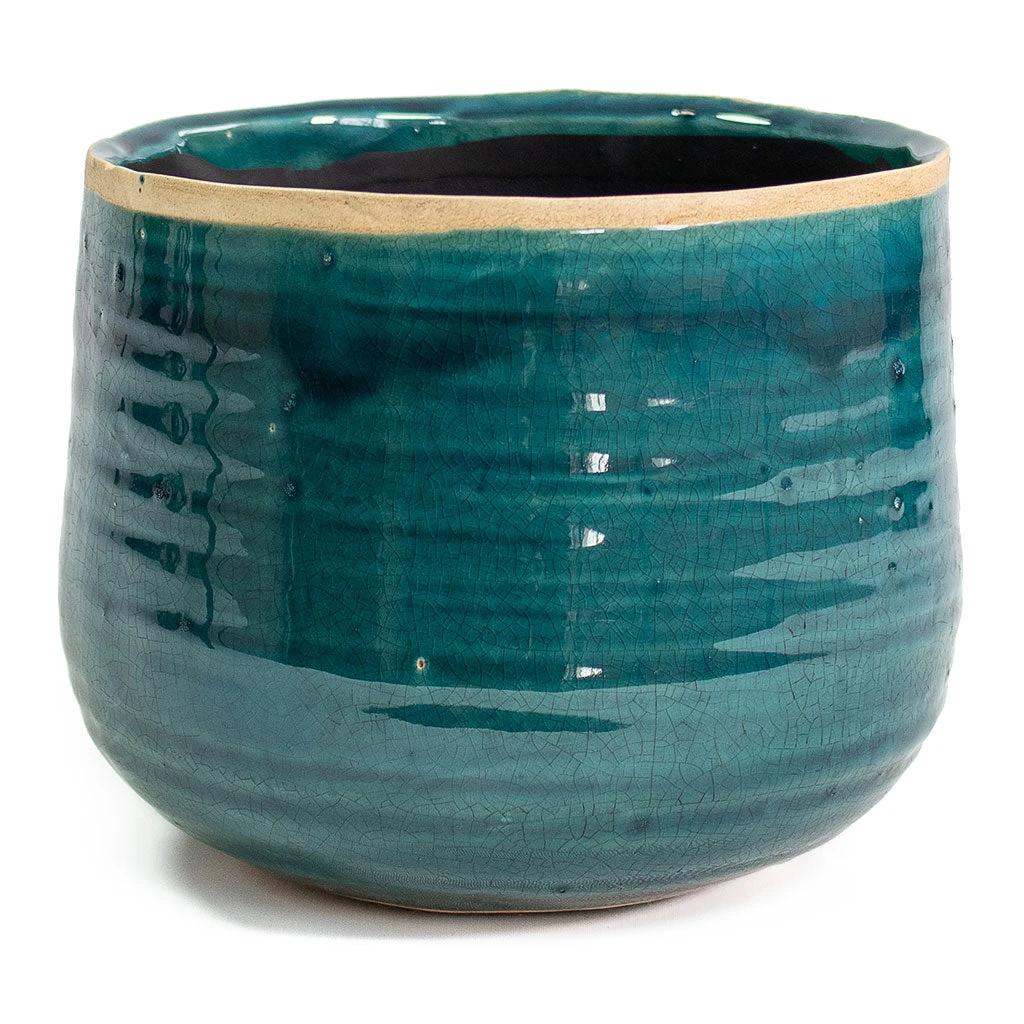 Iris Plant Pot - Turquoise 17 Iris Plant Pot - Turquoise - Image 15