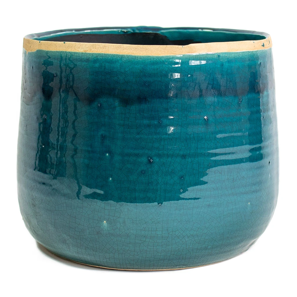 Iris Plant Pot - Turquoise 18 Iris Plant Pot - Turquoise - Image 16
