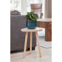 Iris Plant Pot - Turquoise 34 Iris Plant Pot - Turquoise -Plant Promotion Store Iris Turquoise Plant Pot XL LS1