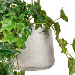 Patt Hanging Plant Pot - Grey Washed 31 Patt Hanging Plant Pot - Grey Washed -Plant Promotion Store Ivy Hanging Bush Artificial 70cm Patt Hanging Pot Grey Washed 20x17cm 2