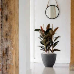 Jesslyn Granite Planter - Midnight Black -Plant Promotion Store Jesslyn Granite Planter Midnight Black Lifestyle 3