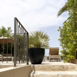 Jesslyn Natural Planter - Black 14 Jesslyn Natural Planter - Black -Plant Promotion Store Jesslyn Natural Planter Black 1