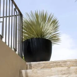 Jesslyn Natural Planter - Black 19 Jesslyn Natural Planter - Black -Plant Promotion Store Jesslyn Natural Planter Black 2