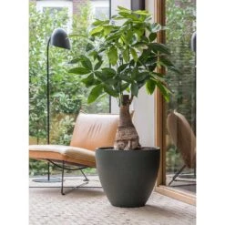 Jesslyn Refined Planter - Pine Green -Plant Promotion Store Jesslyn Refined Planter Pine Green Office Planters