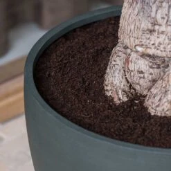 Jesslyn Refined Planter - Pine Green -Plant Promotion Store Jesslyn Refined Planter Pine Green Rim