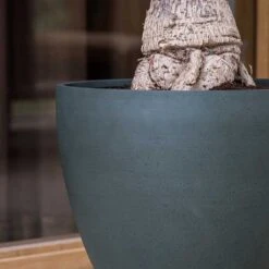 Jesslyn Refined Planter - Pine Green -Plant Promotion Store Jesslyn Refined Planter Pine Green Sandstone Textures