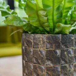 Jim Plant Pot - Earth 16 Jim Plant Pot - Earth -Plant Promotion Store Jim Earth 5