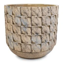 Jim Plant Pot - Shell 26 Jim Plant Pot - Shell -Plant Promotion Store Jim Plant Pot Shell 14x12cm