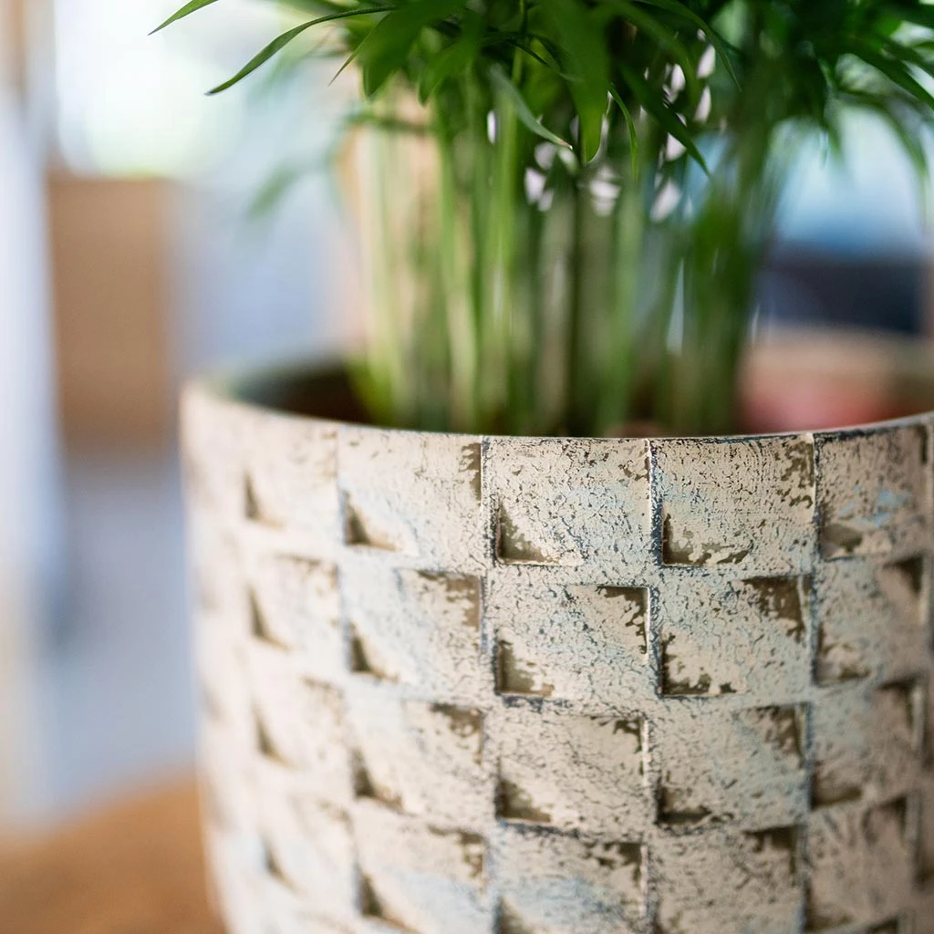 Jim Plant Pot - Shell 5 Jim Plant Pot - Shell - Image 3