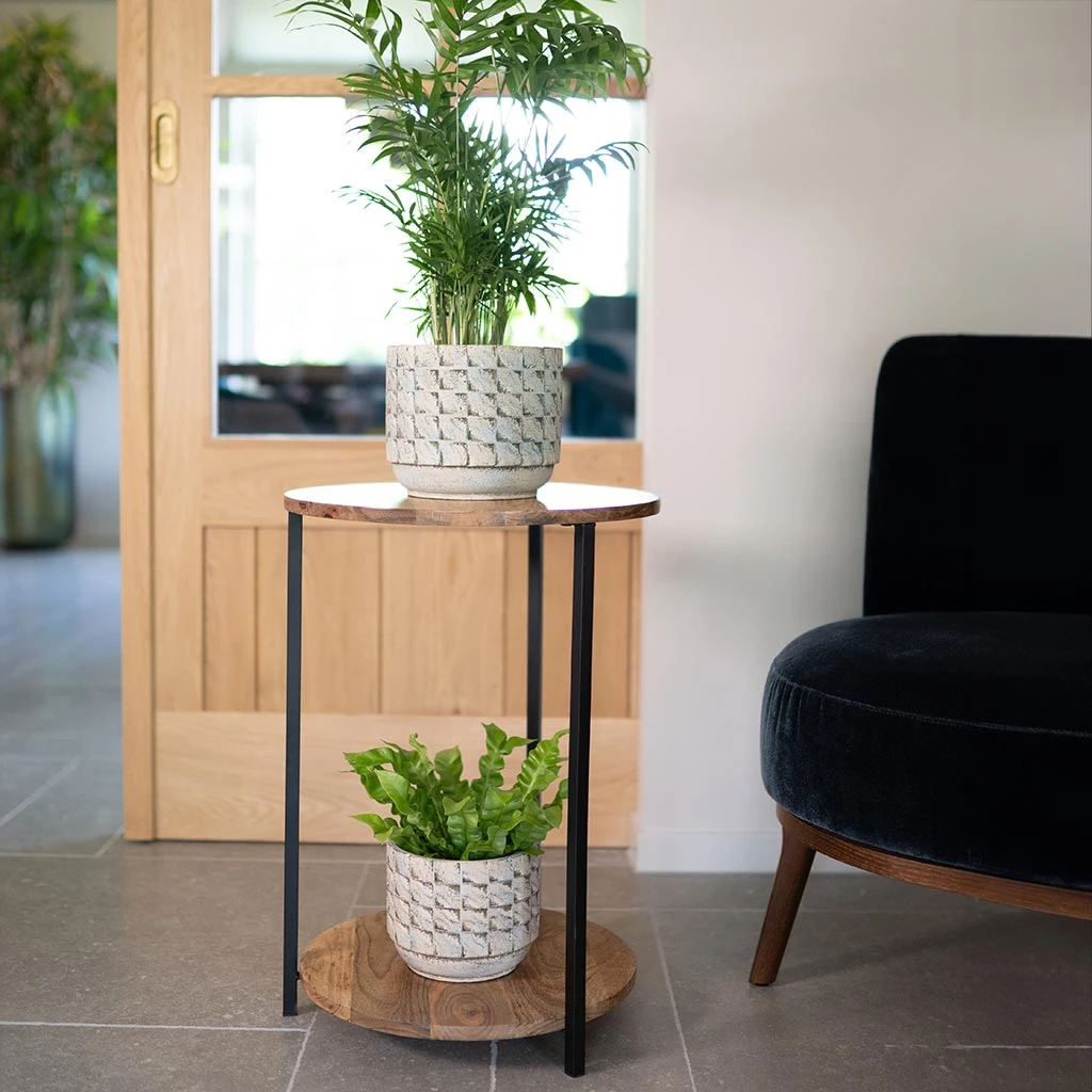 Jim Plant Pot - Shell 14 Jim Plant Pot - Shell - Image 12