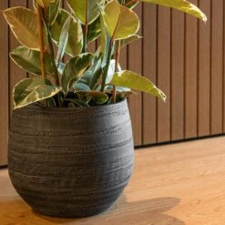 Joyce Plant Pot - Anthracite -Plant Promotion Store Joyce Anthracite